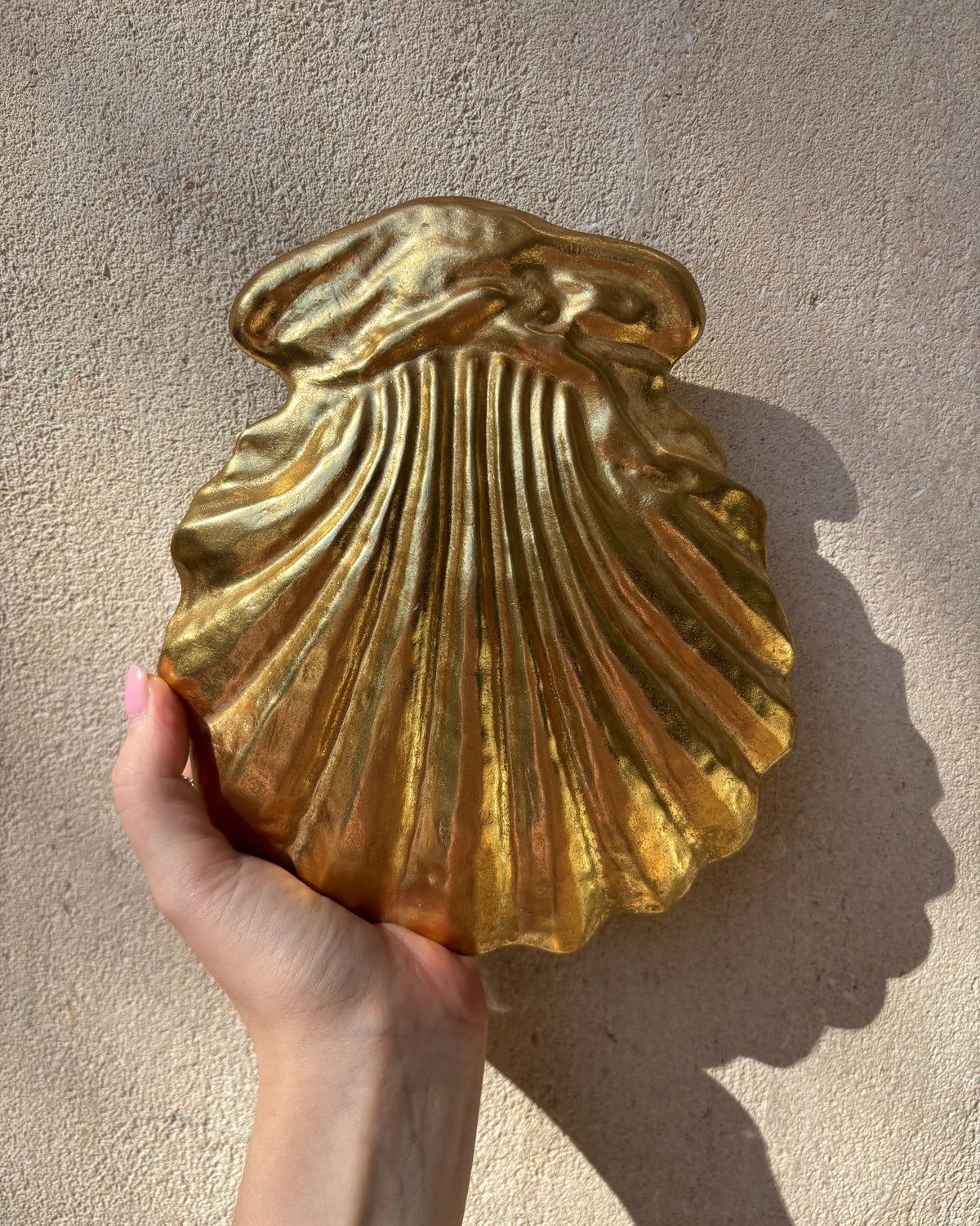 Ex voto coquillage