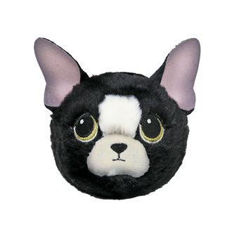 Balle rebondissante - chihuahua
