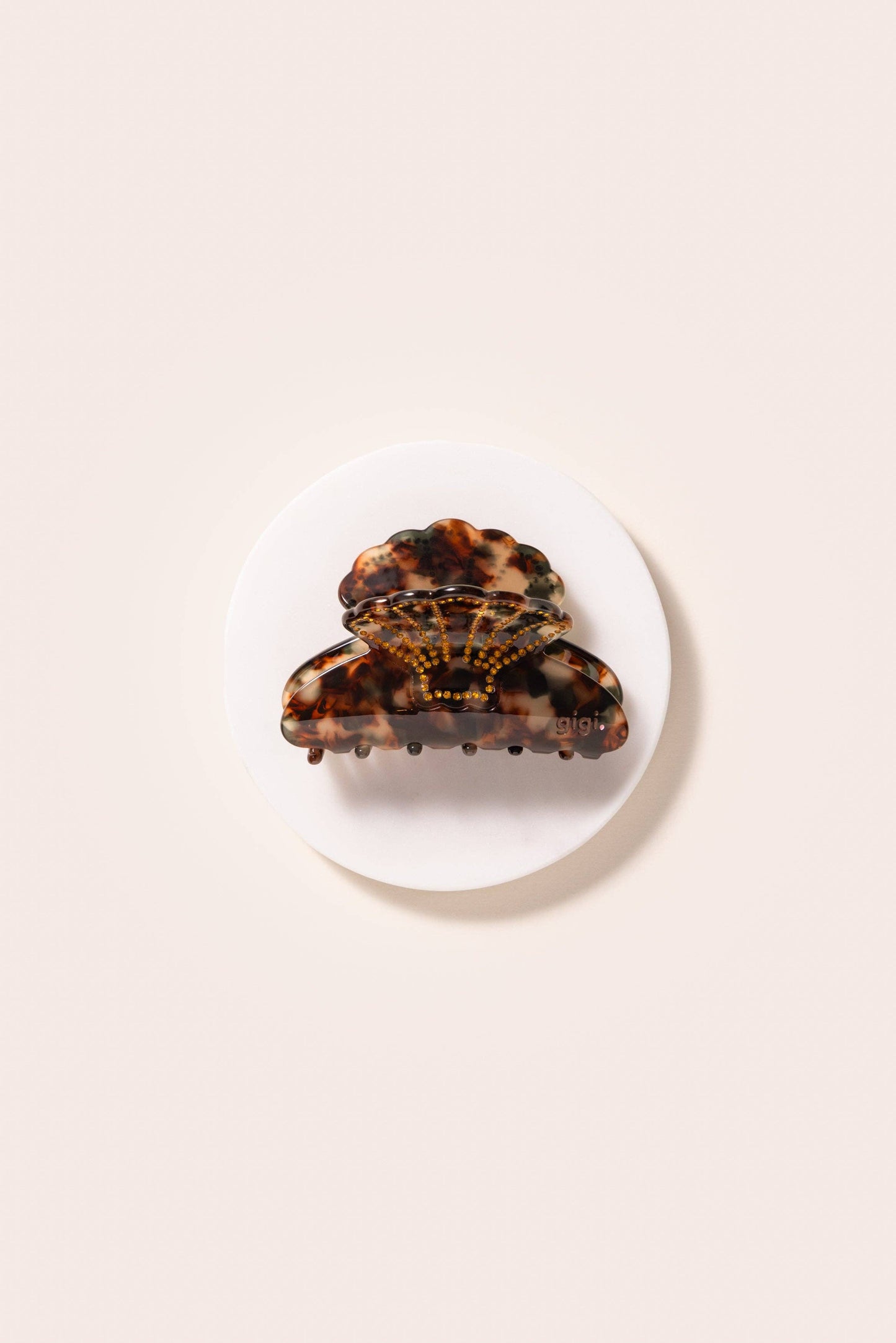 Belle pince coquillage ambre: 5 cm / 7.5 cm