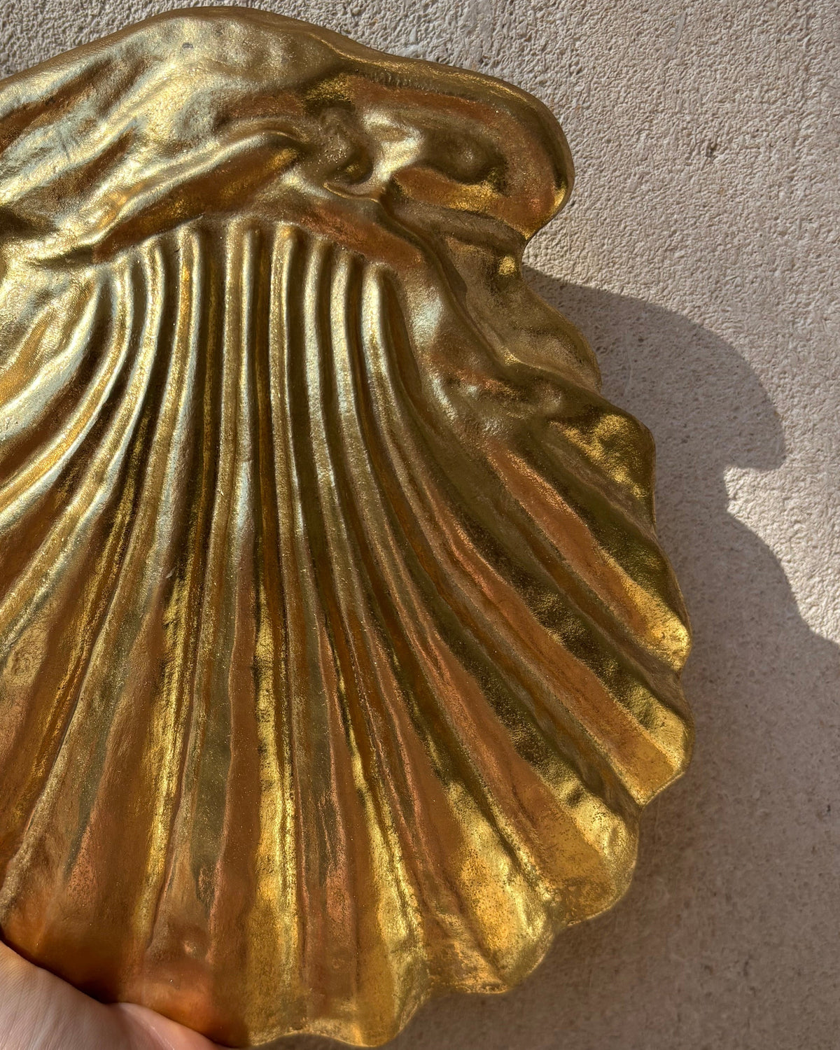 Ex voto coquillage