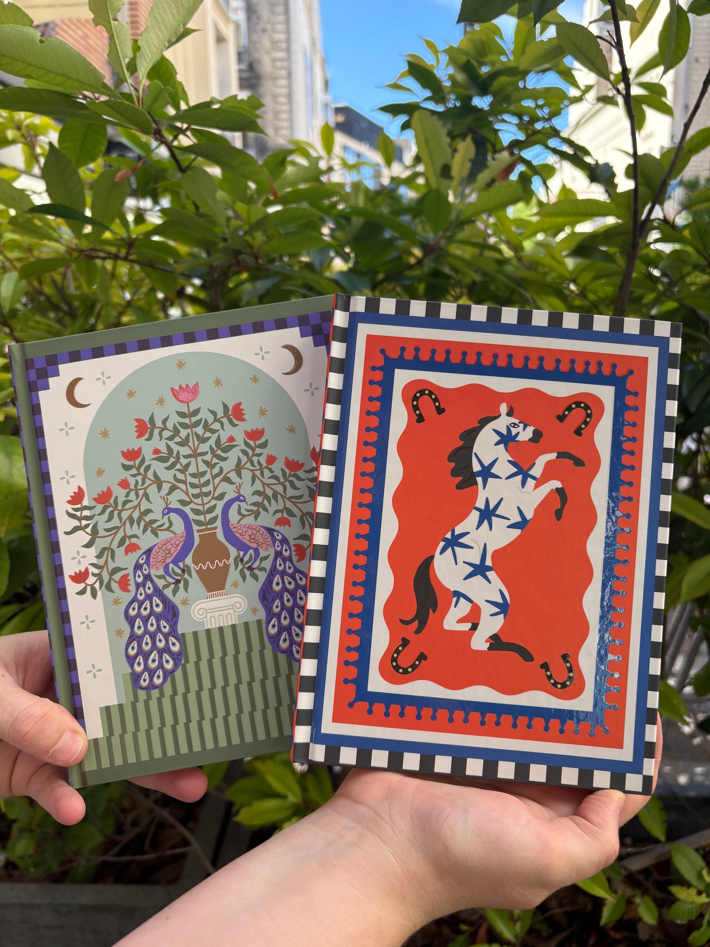 Carnet éléphant adopo
