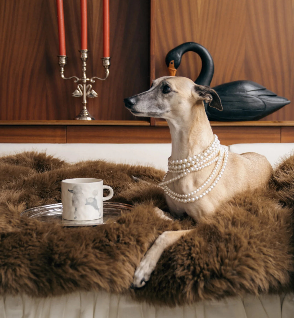 Mug Caniche