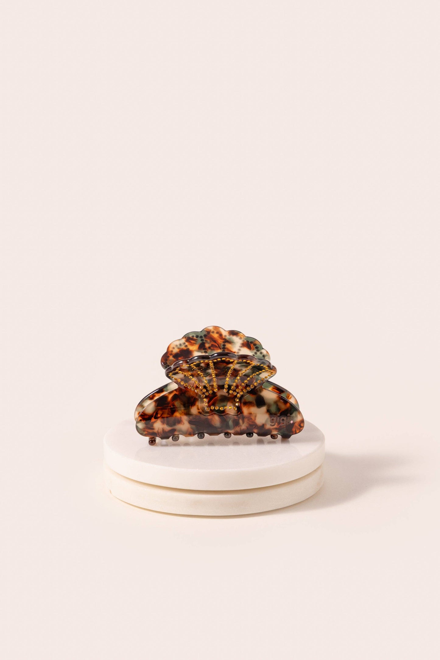 Belle pince coquillage ambre: 5 cm / 7.5 cm